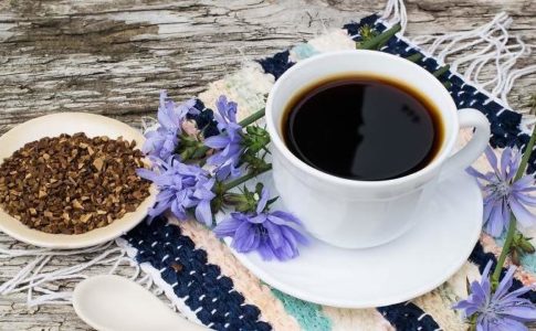 cafea de cicoare beneficii si proprietati