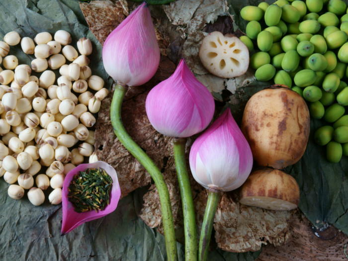 seminte de Lotus beneficii